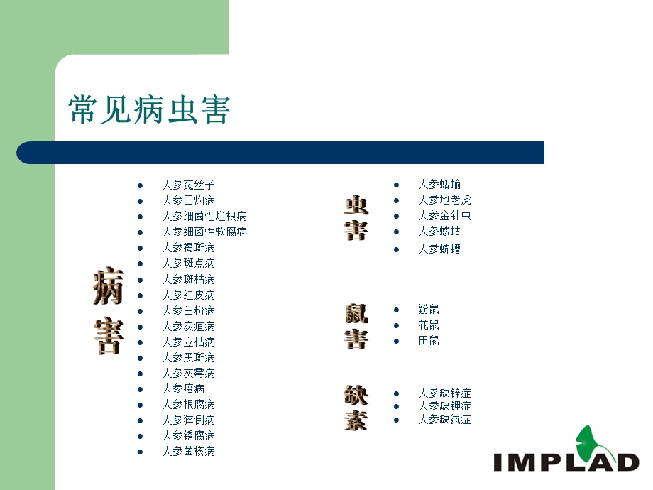 人参病虫害防治解析课件.ppt_第3页