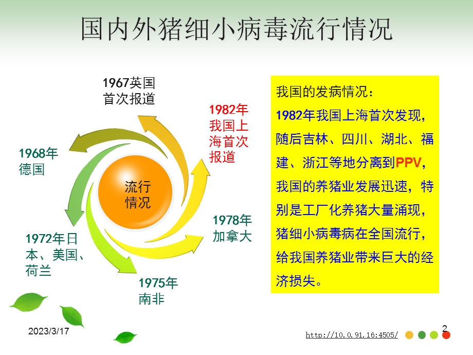 猪细小病毒病课件.ppt_第2页