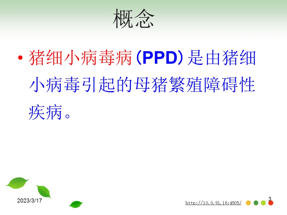 猪细小病毒病课件.ppt_第3页