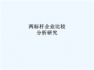 两标杆企业比较分析研究课件.ppt