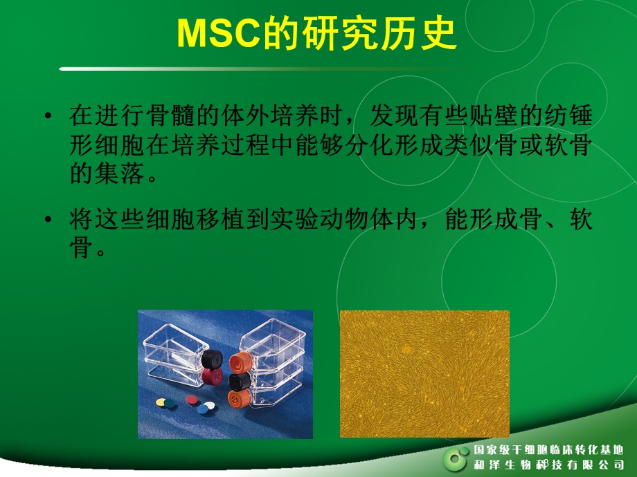 MSC干细胞课件.ppt_第3页