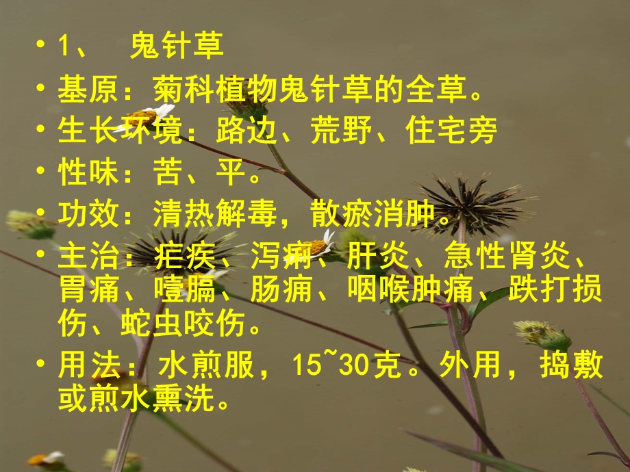 云南中草药课件.ppt_第2页