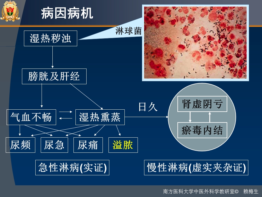 中医外科学-淋病(gonorrhea)课件.ppt_第3页