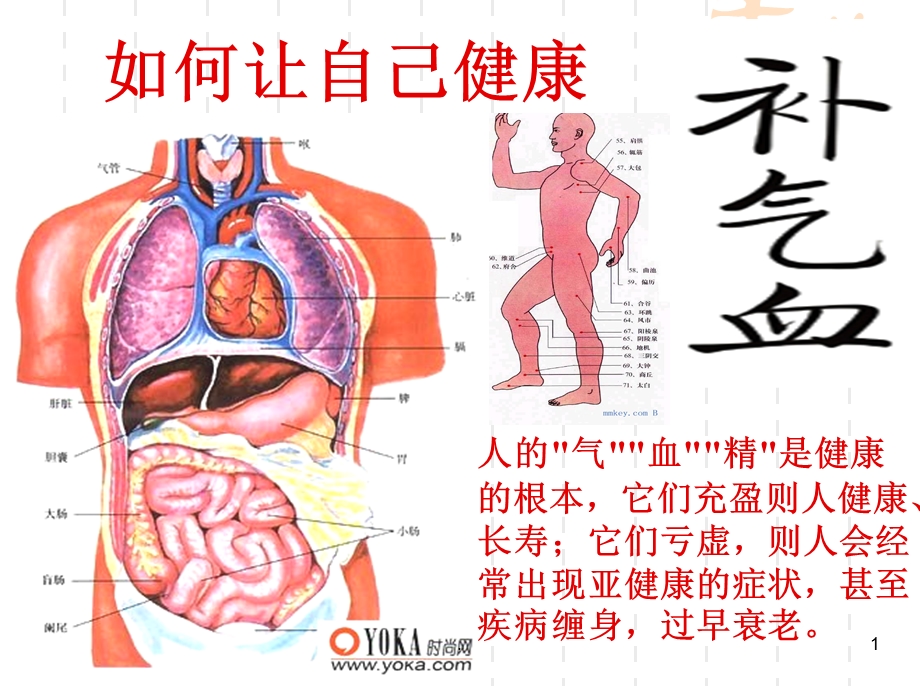 中医气血医学课件.ppt_第1页