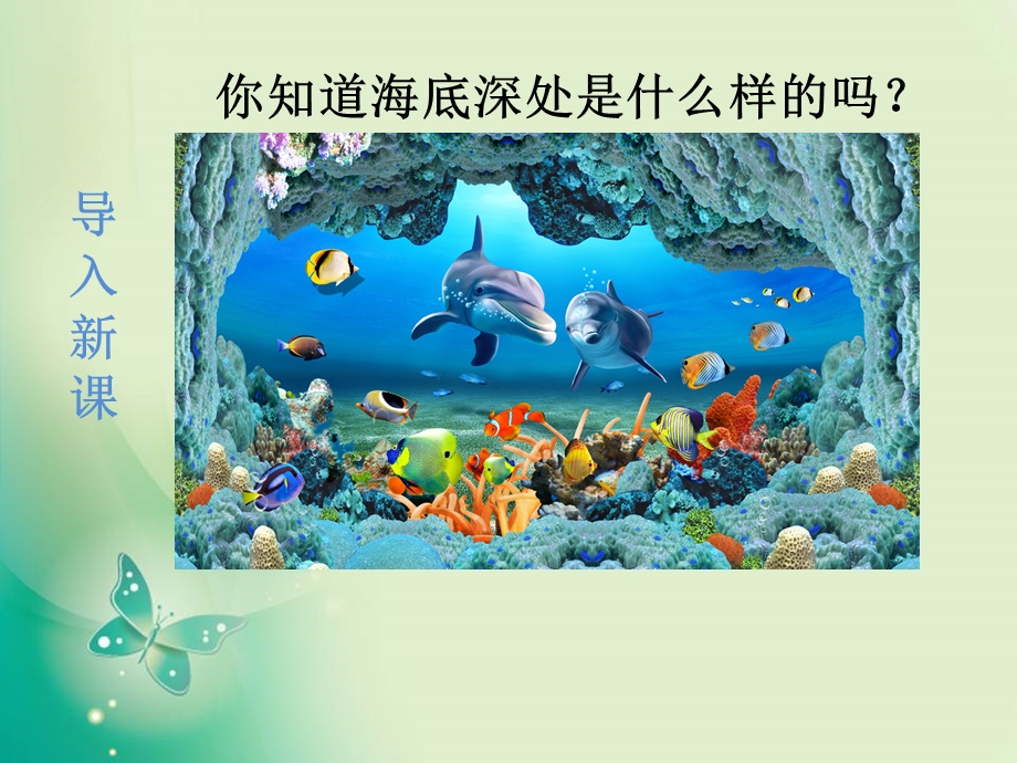 《海底世界》课件部编版.ppt_第2页