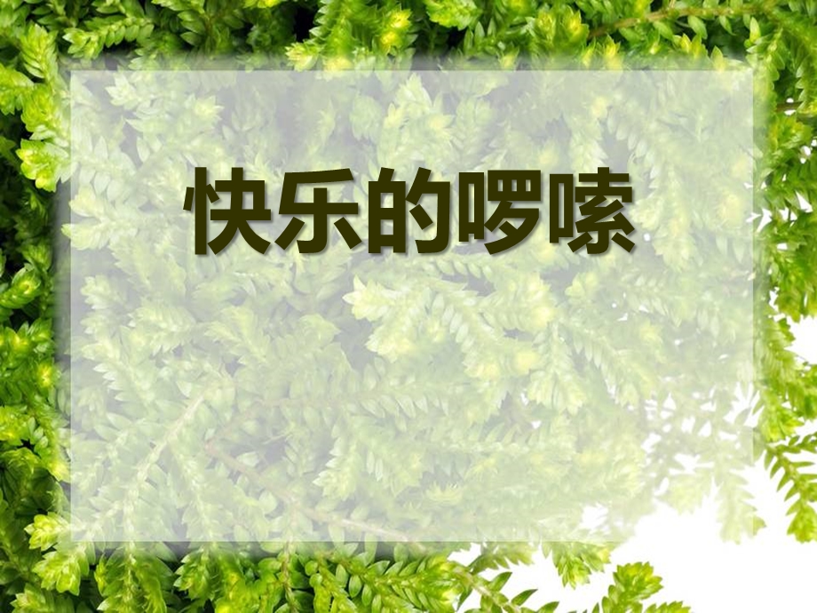 《快乐的罗嗦》课件.ppt_第1页