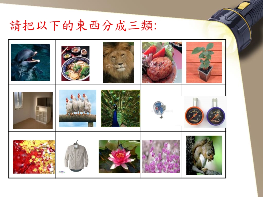 三年级读书策略分享会课件.ppt_第3页