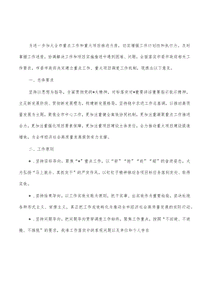 建立重点工作重大项目调度推进机制.docx