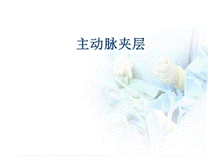 主动脉夹层诊断和治疗指南 课件.ppt