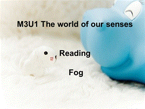 The-world-of-our-senses-ppt42-译林牛津版课件.ppt