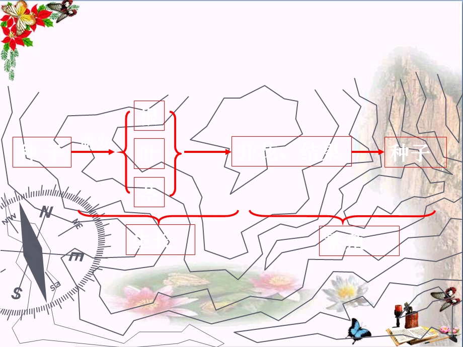 《植物的开花和结果》课件.ppt_第2页