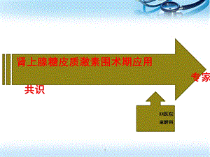 肾上腺糖皮质激素围术期应用 课件.ppt