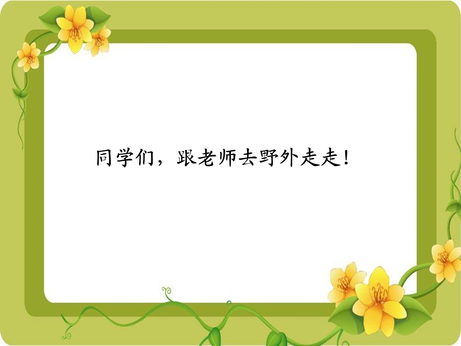 《小鸟》课件.ppt_第2页