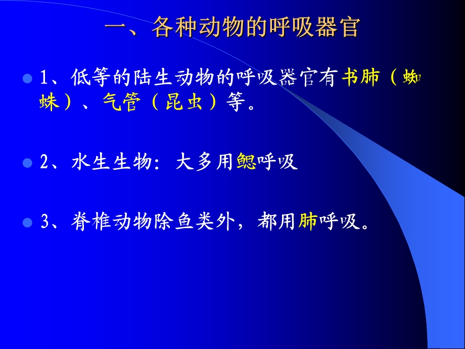 人体生理呼吸课件.ppt_第2页