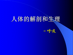 人体生理呼吸课件.ppt