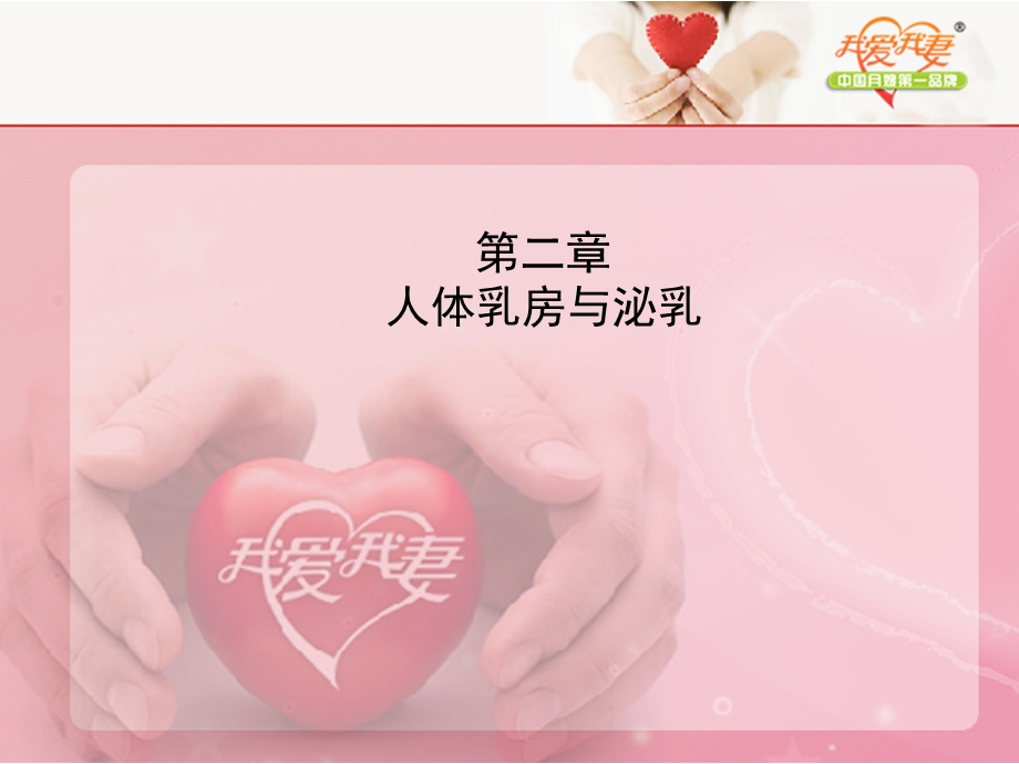 人体乳房与泌乳的过程(初)分析课件.ppt_第1页