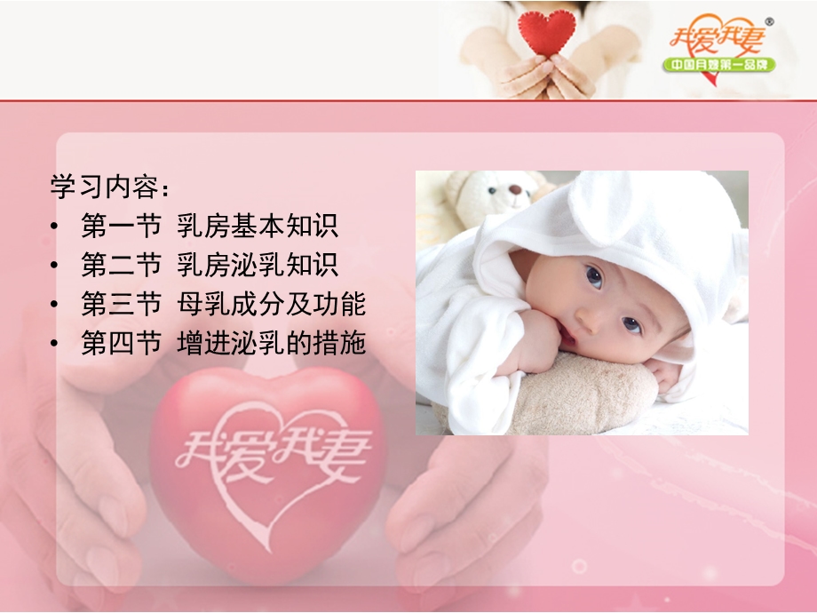 人体乳房与泌乳的过程(初)分析课件.ppt_第2页