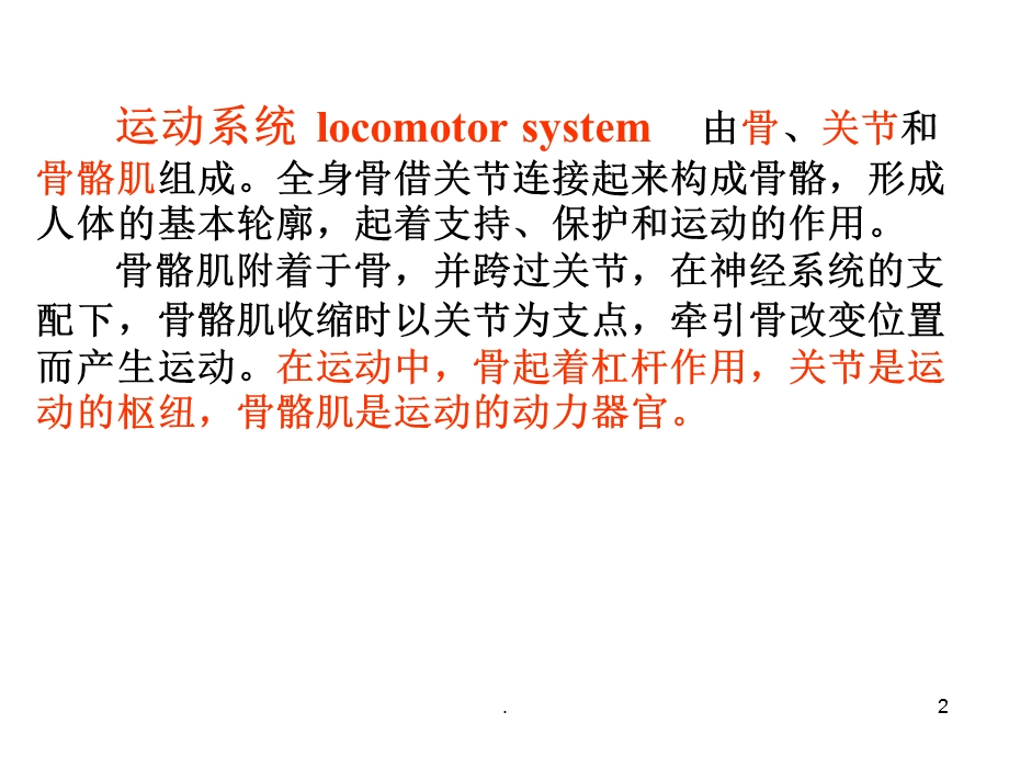 功能解剖学课件.ppt_第2页