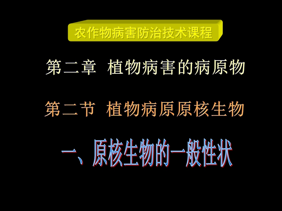 主要病原物植物病原的原核生物主要有细菌课件.ppt_第1页