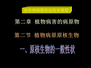 主要病原物植物病原的原核生物主要有细菌课件.ppt