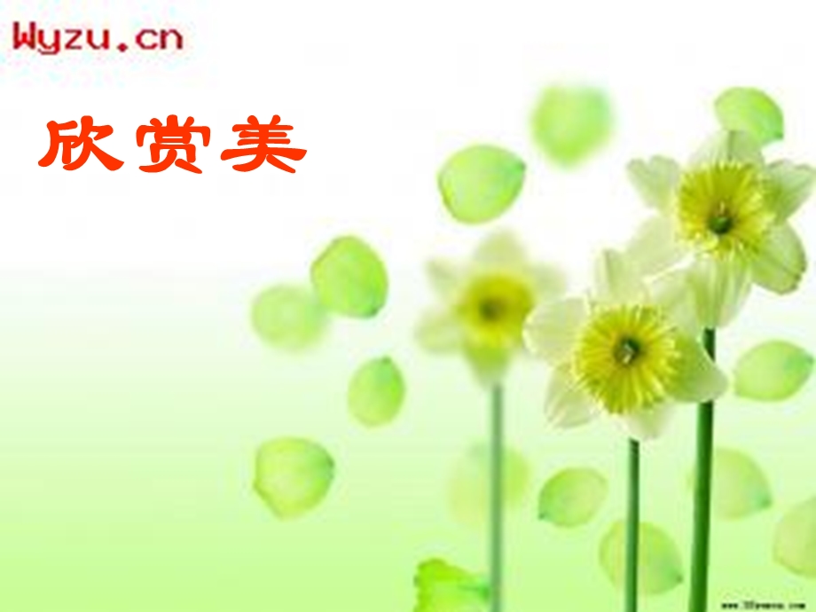 《搭石》课件.ppt_第3页