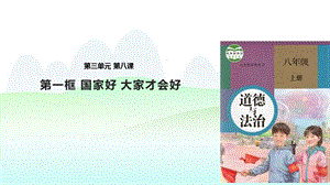 八年级道德与法治上册第四单元第八课《国家利益至上》课件.pptx