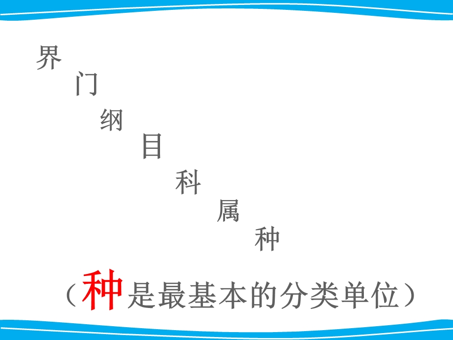 人教版从种到界ppt课件.ppt_第3页