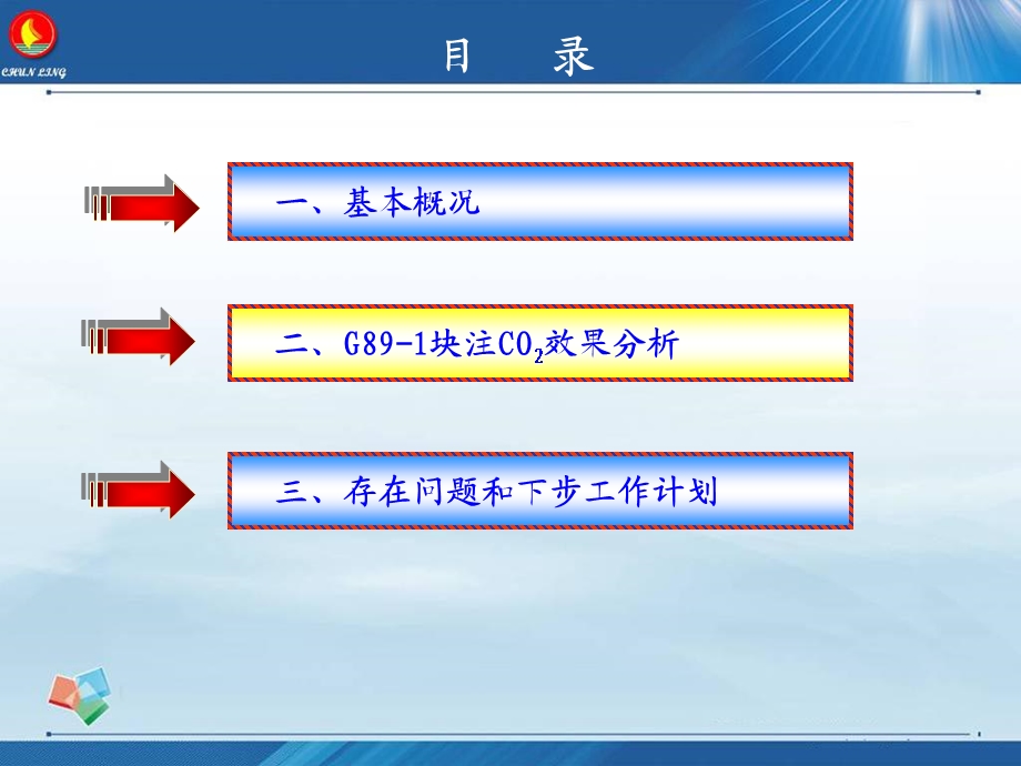 G89-1块注CO2驱效果分析(油水井分析用)课件.ppt_第2页