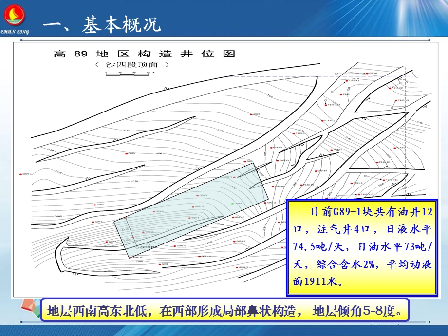 G89-1块注CO2驱效果分析(油水井分析用)课件.ppt_第3页