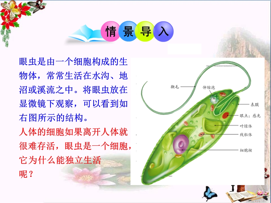 《单细胞生物》课件.pptx_第2页