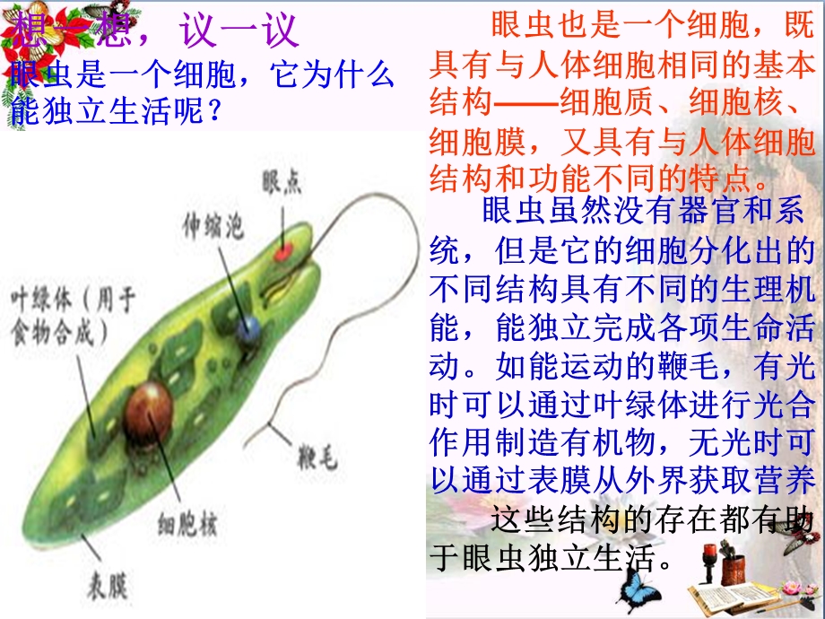 《单细胞生物》课件.pptx_第3页