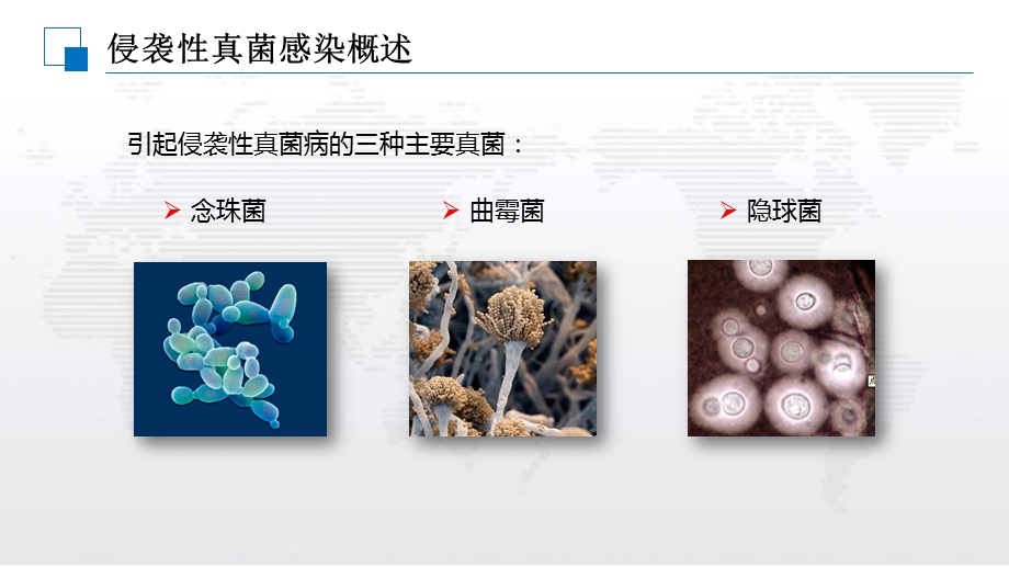 侵袭性真菌感染实验室诊断与临床应用课件.ppt_第2页