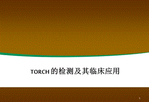 TORCH检测及其临床应用-课件.ppt