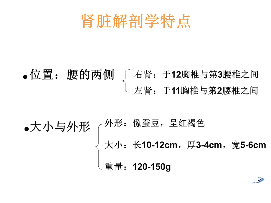 关爱肾脏课件.ppt_第3页