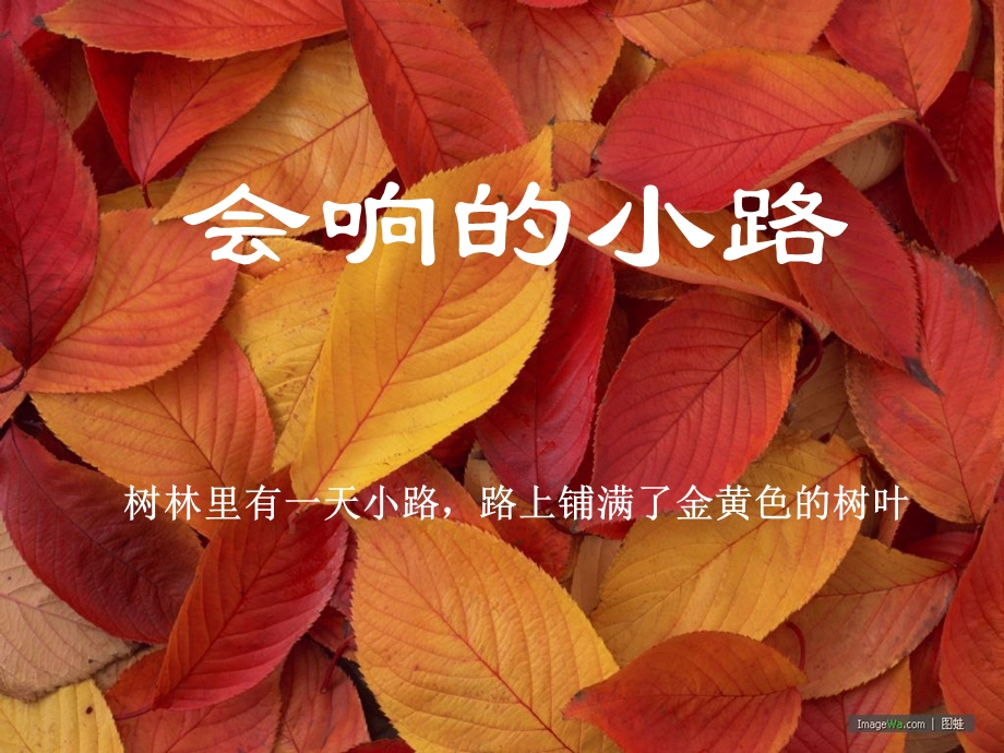 会响的小路课件.ppt_第1页