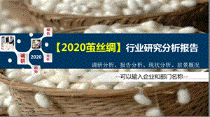 2020茧丝绸行业研究分析报告课件.pptx