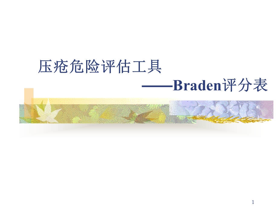 Braden评分表课件.ppt_第1页