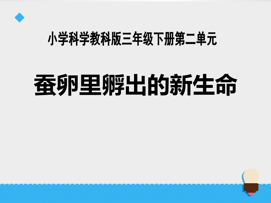 《蚕卵里孵出的新生命》动物的生命周期课件.ppt_第1页