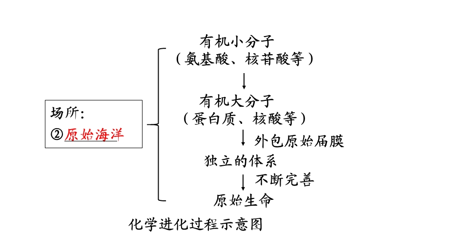 中考生物复习：生命的演化ppt-济南版课件.ppt_第3页