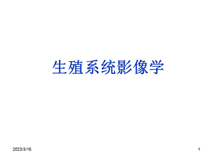 医学影像--男女性生殖系统课件.ppt