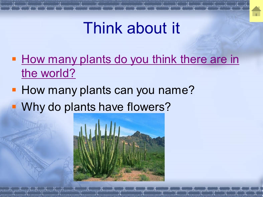 Plant-Plants课件2-冀教版.ppt_第3页