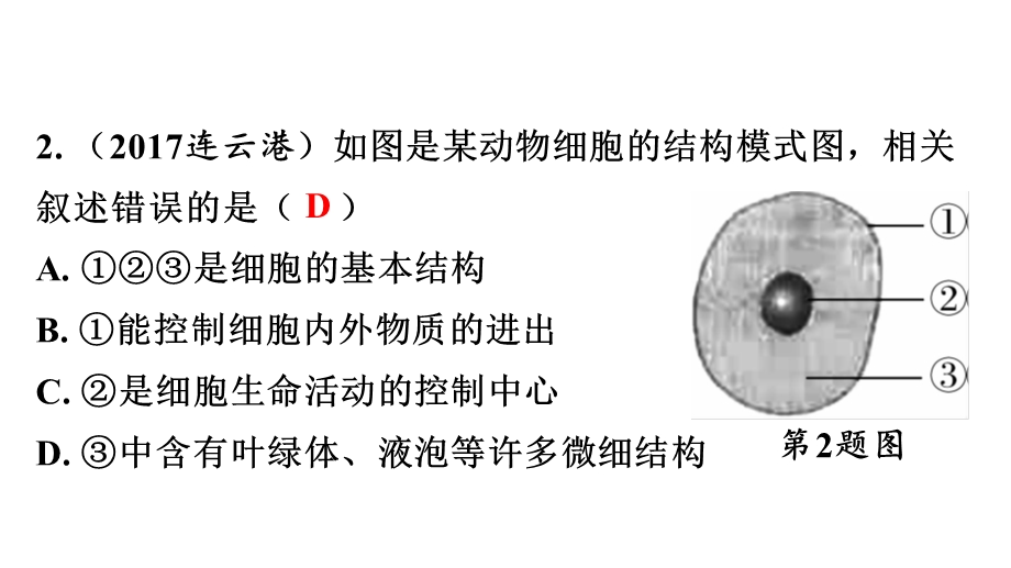 中考生物复习识图题ppt（9份）人教版课件.ppt_第3页