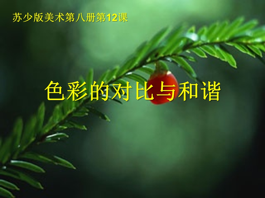 《色彩的对比与和谐》优秀ppt课件.ppt_第1页