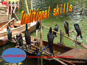 Traditional-skills课件-牛津上海版.ppt