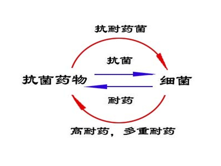 万古霉素耐药的肠球菌VRE课件.ppt_第2页