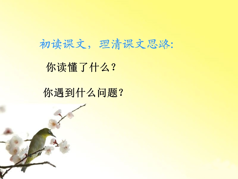 《点金术》课件.ppt_第3页