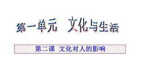 文化对人的影响分析课件.ppt