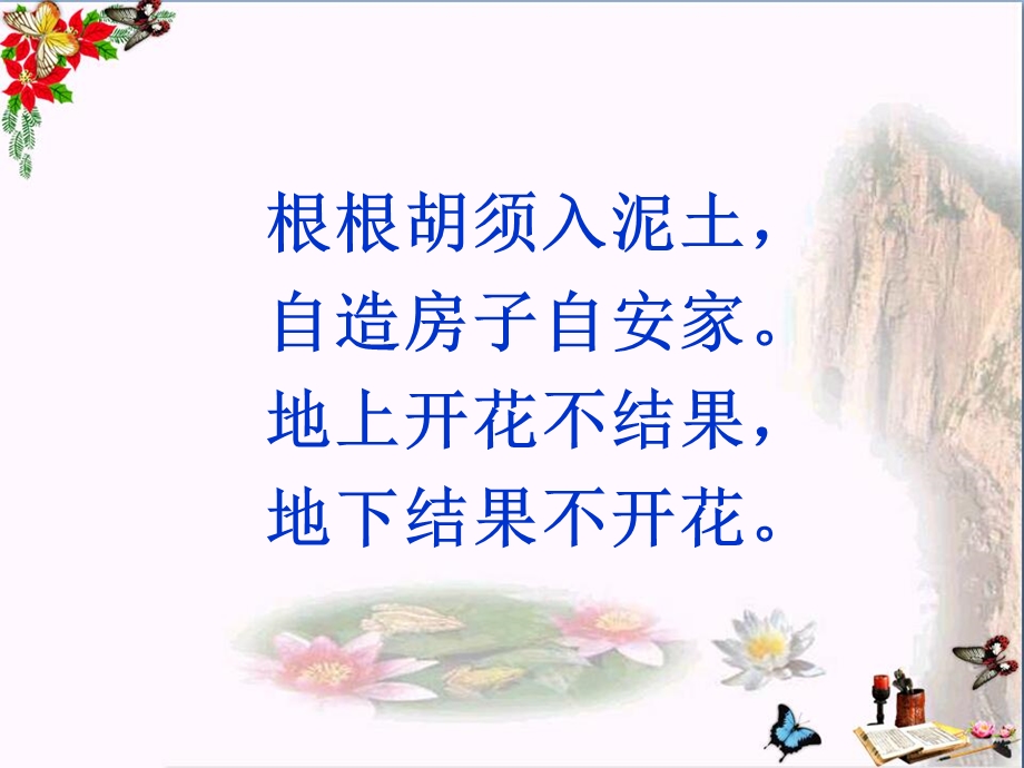 《落花生》课件.ppt_第2页