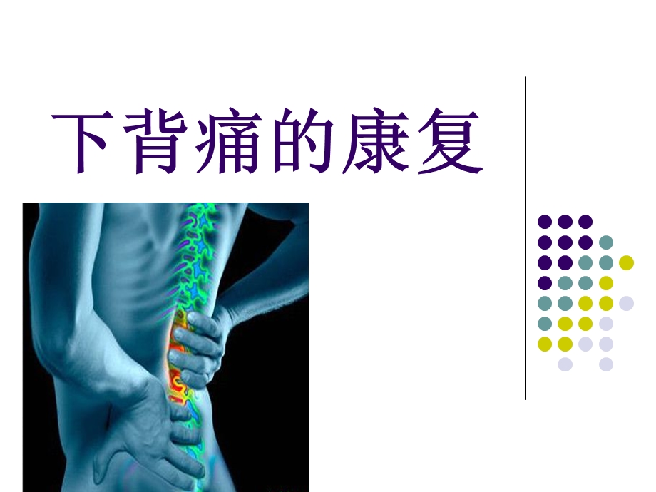 下背痛的康复总结课件.ppt_第1页