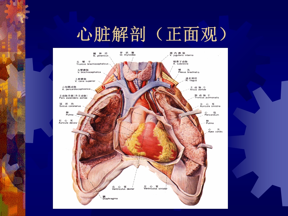 不停跳搭桥手术护理配合课件.ppt_第3页